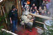 Bild 055